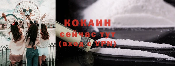 шишки Инсар