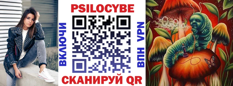 Галлюциногенные грибы Psilocybe  Горбатов 